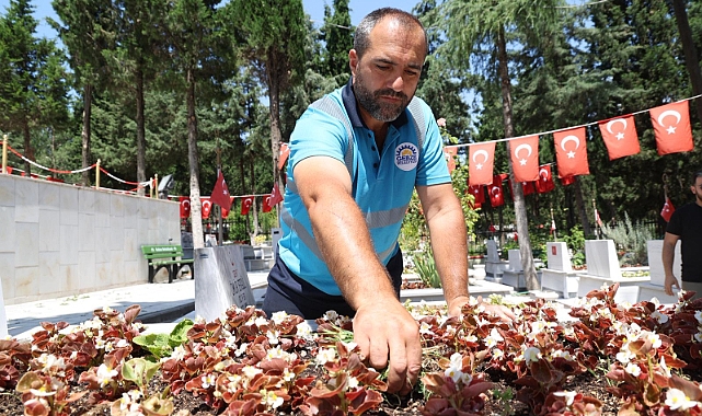 Mezarlık ve Şehitliklerde Kapsamlı Bakım Çalışması